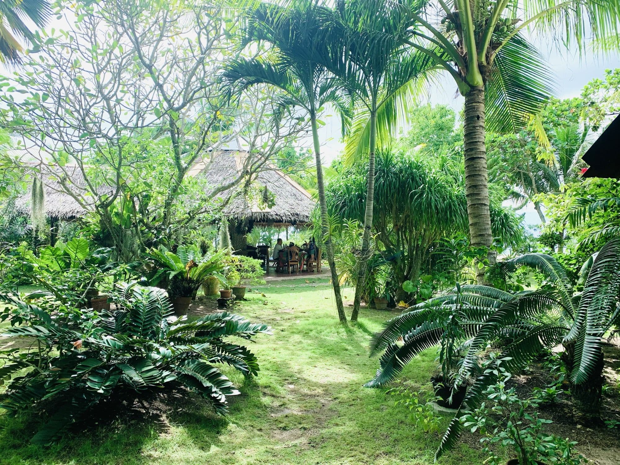 Lush tropical garden surrounding the bungalows