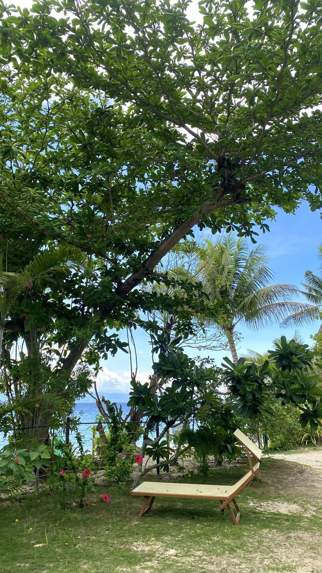 A hammock strung between the trees by the beach