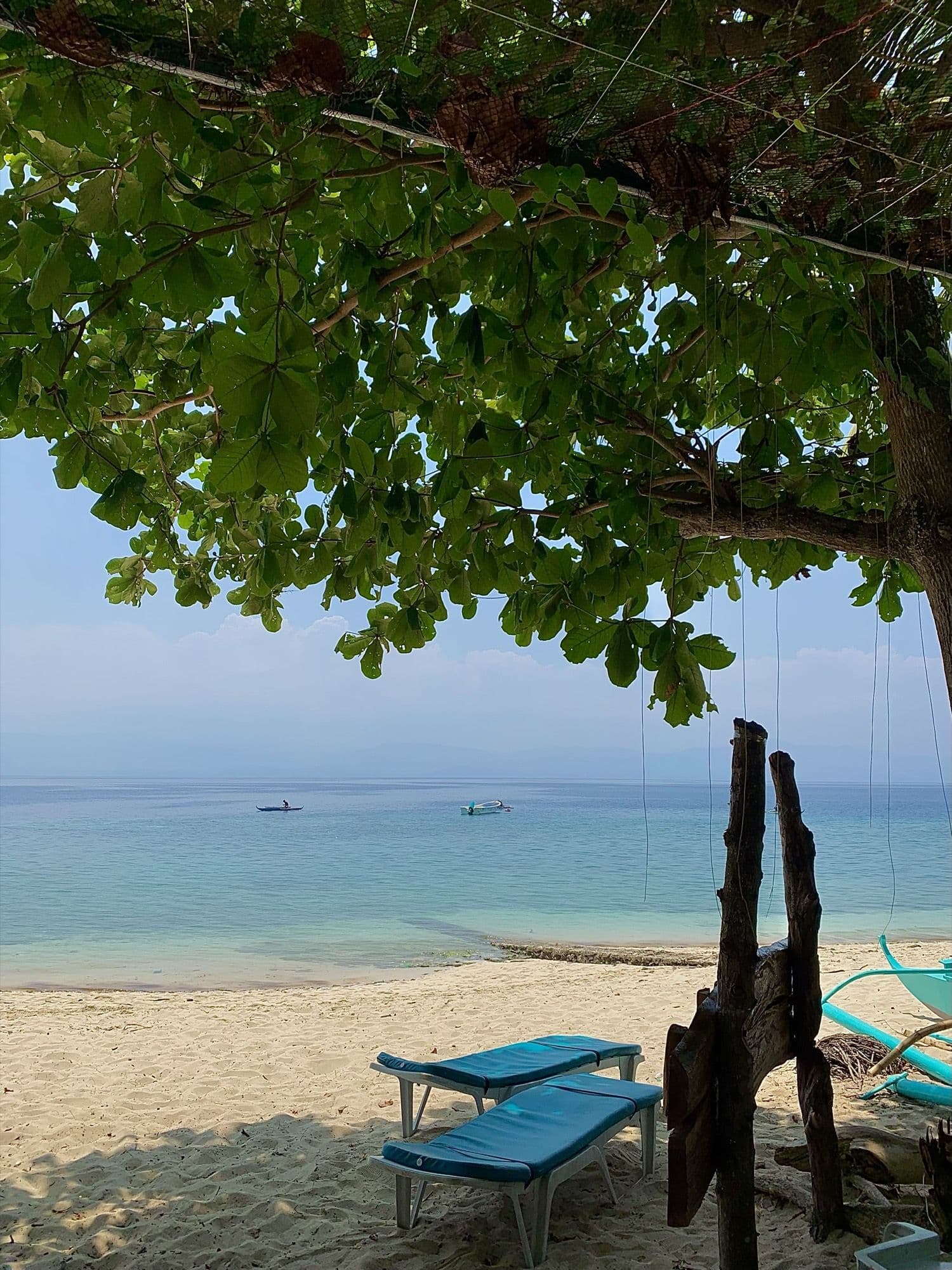 Loungers in the shade of the trees at the water's edge